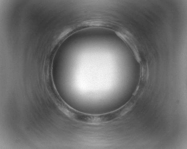 X0000082690301200702021334