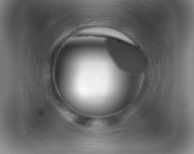 X0000082690303200702021334