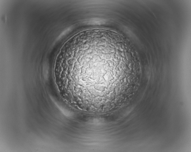 X0000082690304200702021334