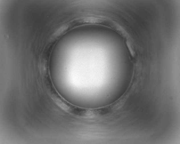 X0000082690305200702021334