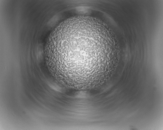 X0000082690320200702021334