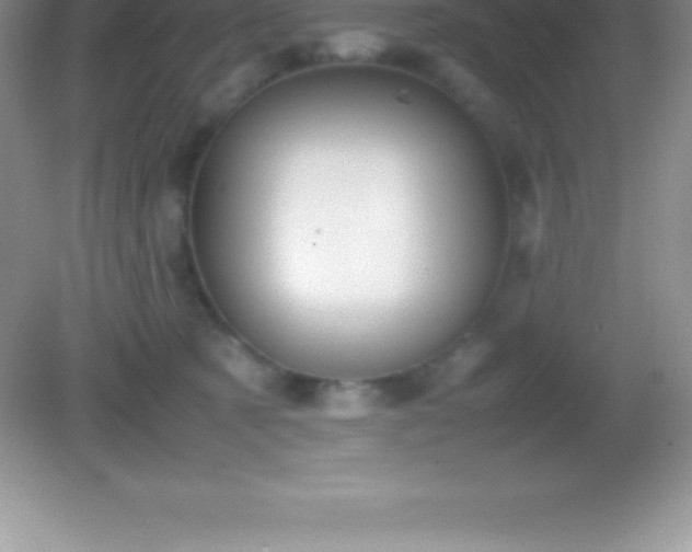 X0000082690321200702021334