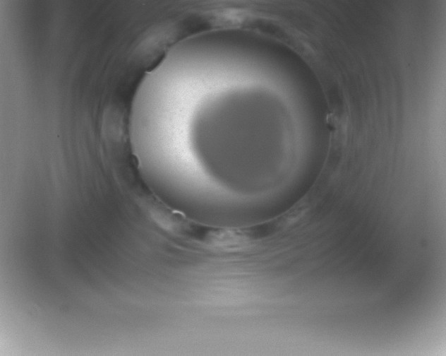 X0000082690331200702021334