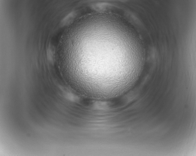 X0000082690332200702021334