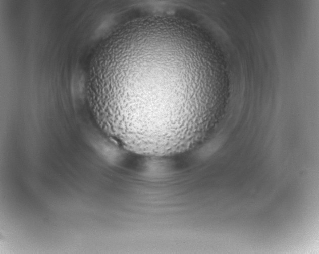 X0000082690336200702021334