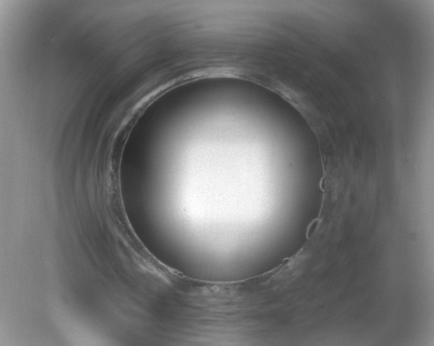 X0000082690338200702021333