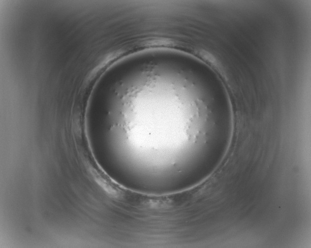 X0000082690345200702021333