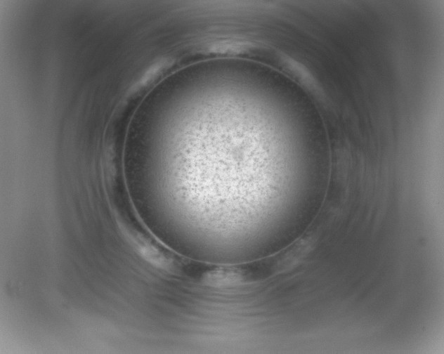 X0000082690354200702021333