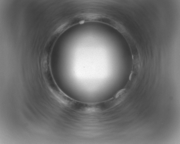X0000082690360200702021333