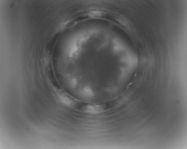 X0000082690367200702021333