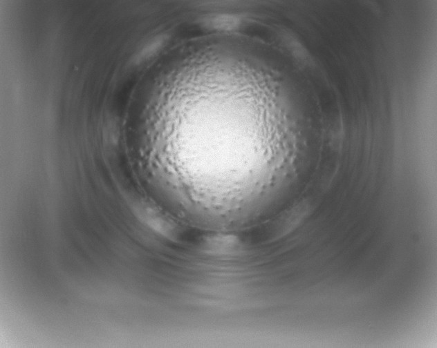 X0000082690374200702021333