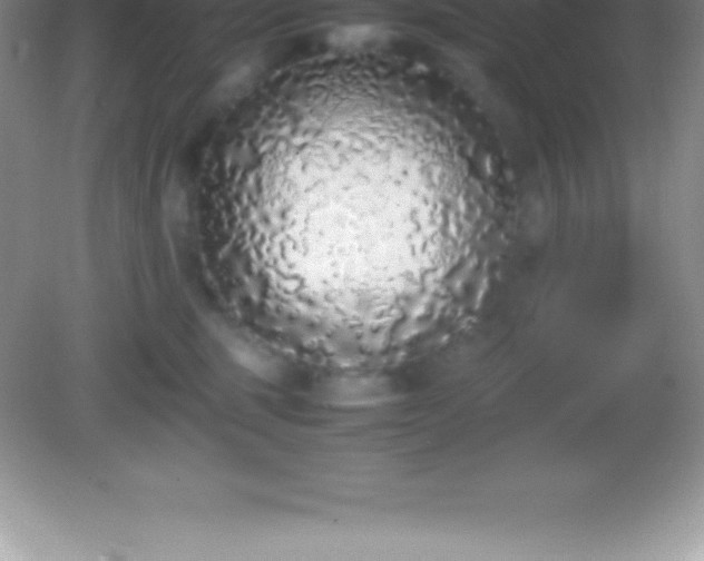 X0000082690375200702021333
