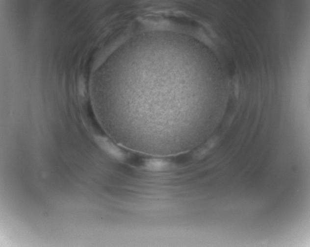 X0000082690380200702021334