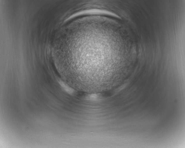 X0000082690382200702021334