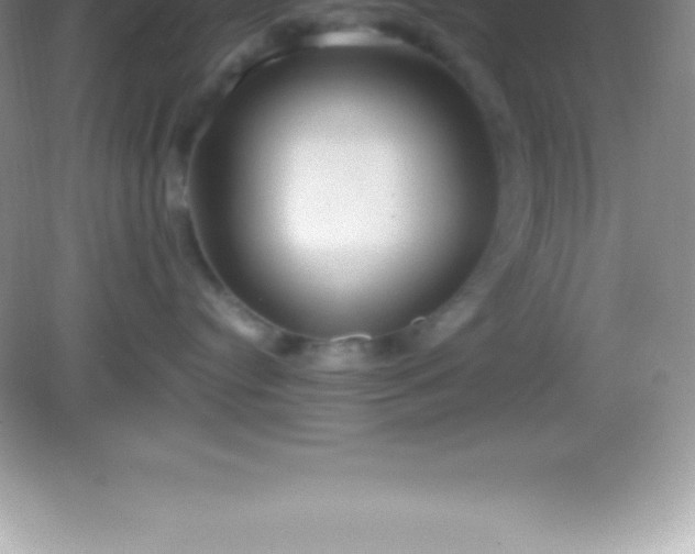 X0000082690384200702021334