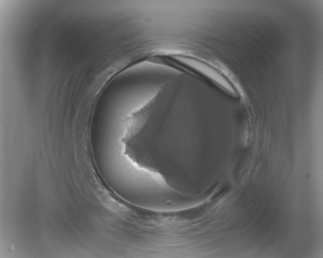 X0000082690385200702021333