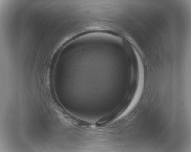 X0000082690387200702021333