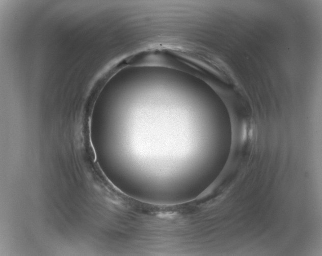 X0000082690388200702021333