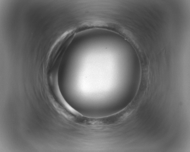X0000082690395200702021333