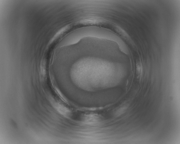 X0000082690396200702021333