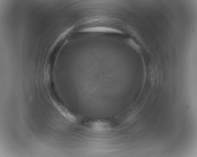 X0000082690400200702021333