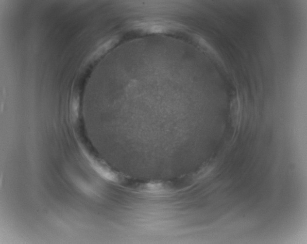 X0000082690406200702021332