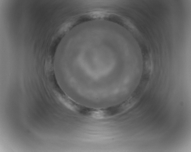 X0000082690411200702021332
