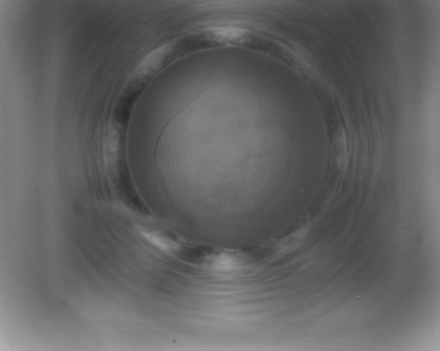 X0000082690412200702021332