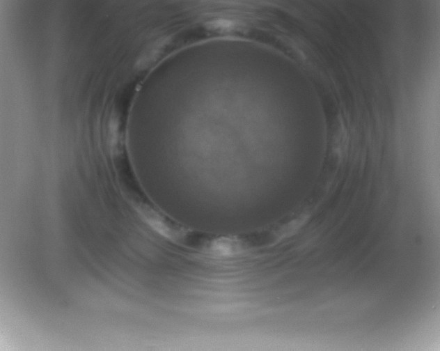 X0000082690420200702021332
