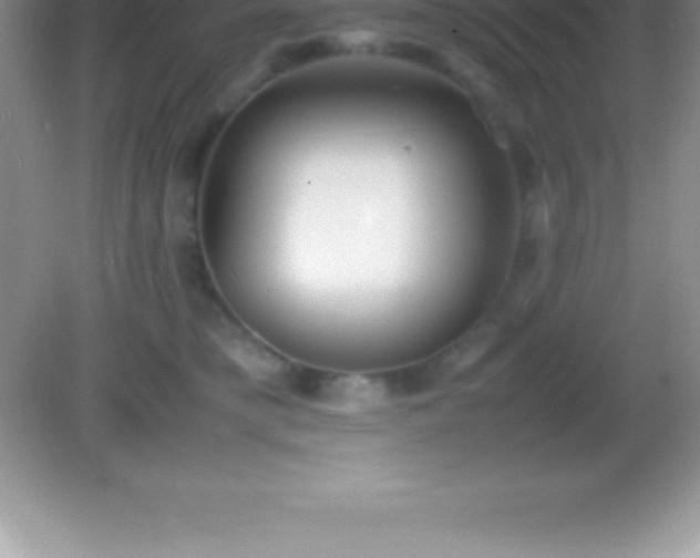 X0000082690421200702021332