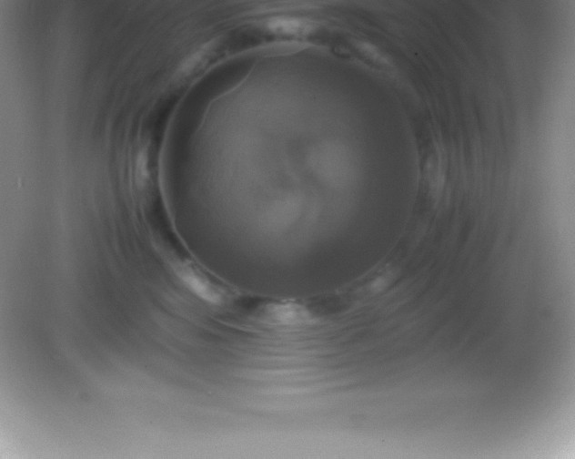 X0000082690424200702021332