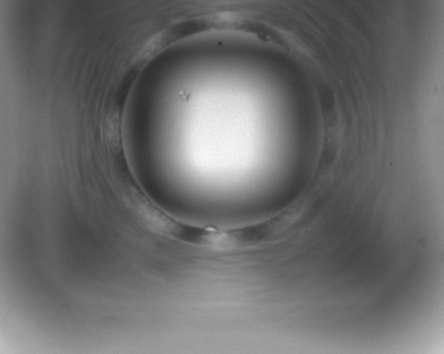X0000082690425200702021332