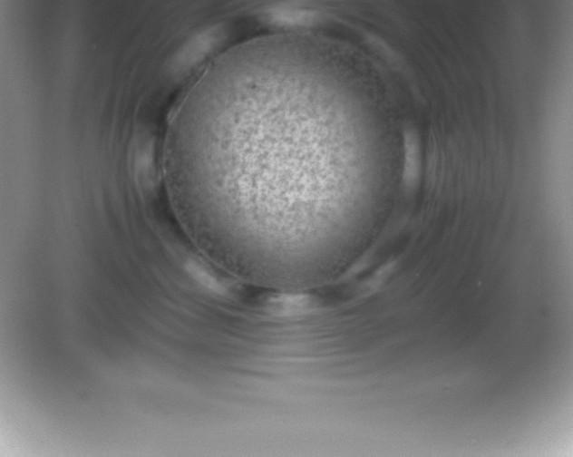 X0000082690428200702021332