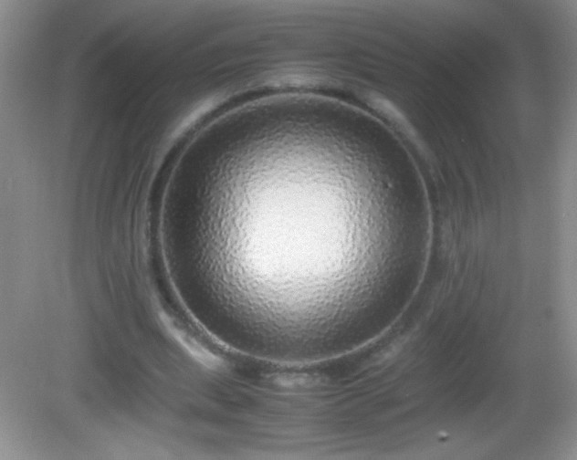 X0000082690439200702021331