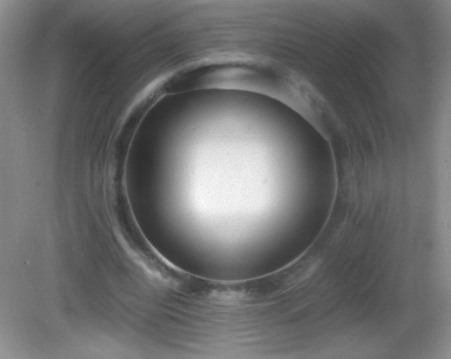 X0000082690440200702021331