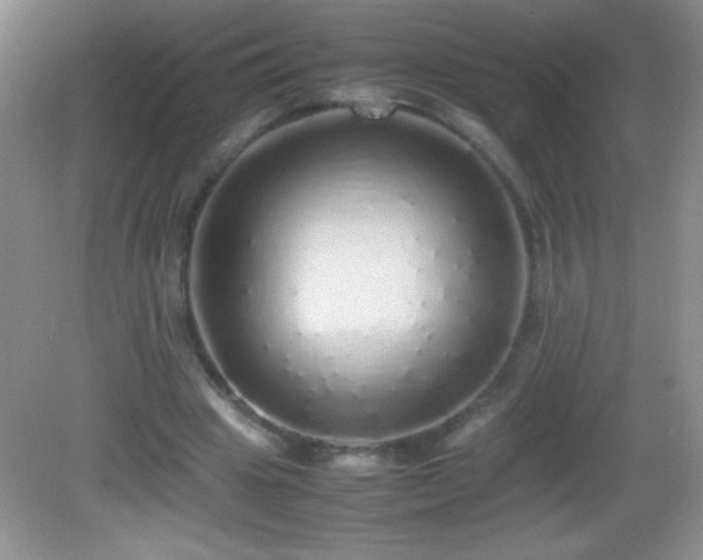 X0000082690441200702021331