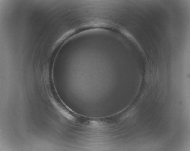 X0000082690442200702021331
