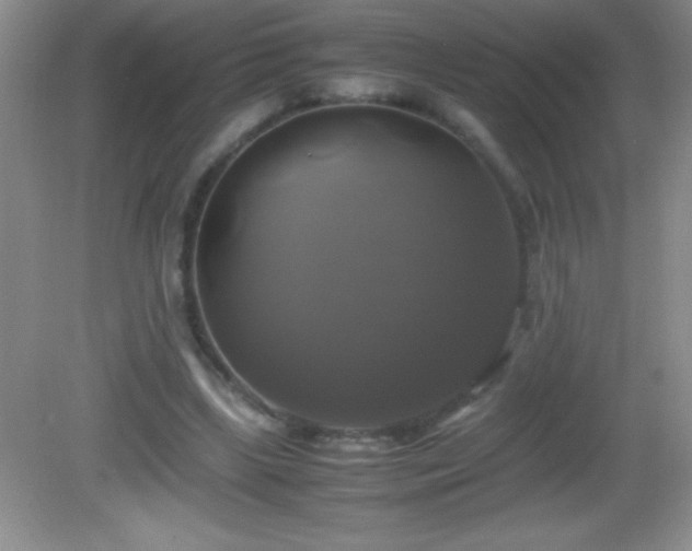 X0000082690443200702021331