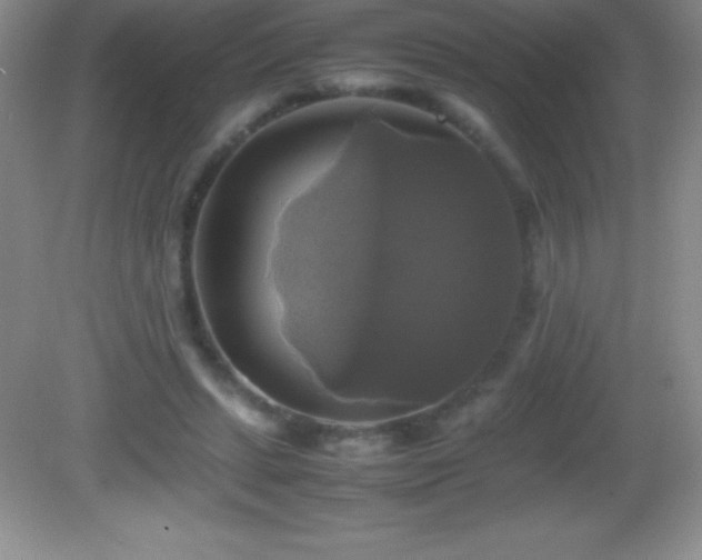 X0000082690447200702021331