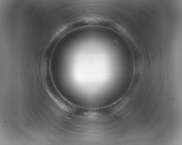 X0000082690448200702021331