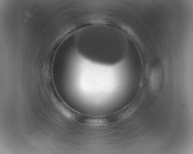 X0000082690449200702021331