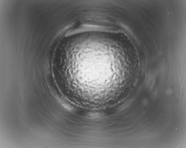 X0000082690453200702021332