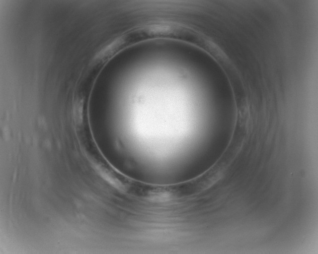 X0000082690454200702021332