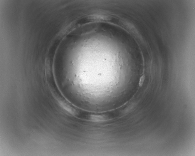 X0000082690457200702021332