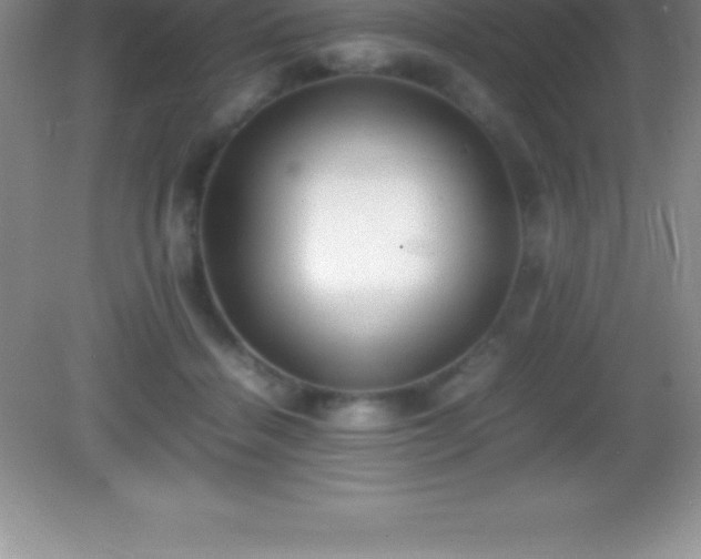 X0000082690460200702021332