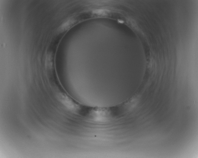X0000082690466200702021332