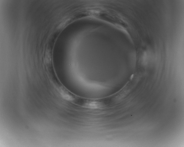 X0000082690467200702021332