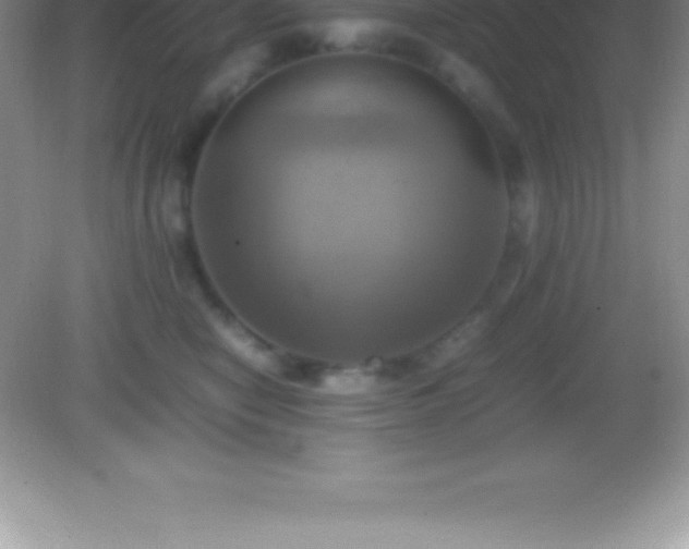 X0000082690470200702021332