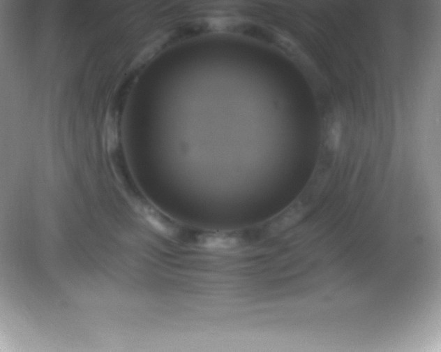 X0000082690471200702021332