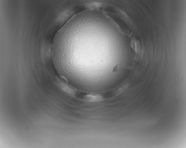 X0000082690477200702021332